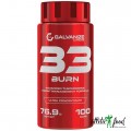 Galvanize Nutrition 33 Burn - 100 капсул